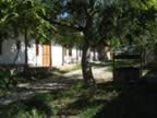 Homrogd030926 072.jpg (122kb)